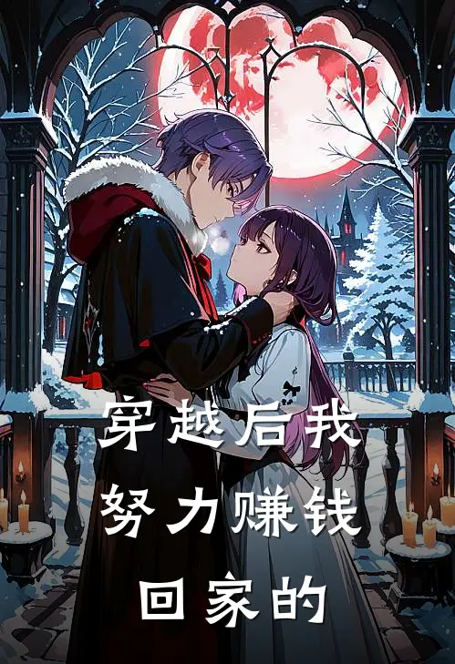 穿越后我努力赚钱回家的