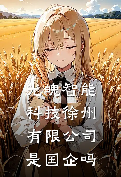 光魄智能科技(徐州)有限公司是国企吗