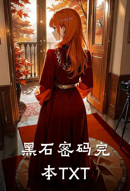 黑石密码完本TXT