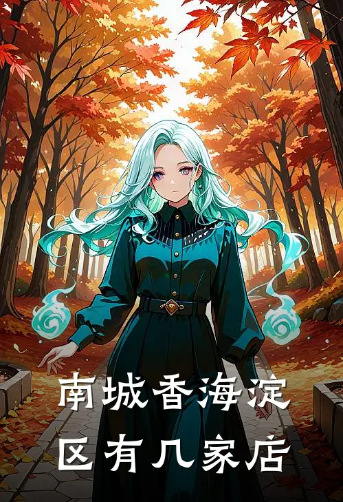 南城香海淀区有几家店